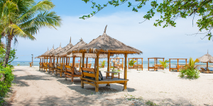 Restaurant Atmosphere